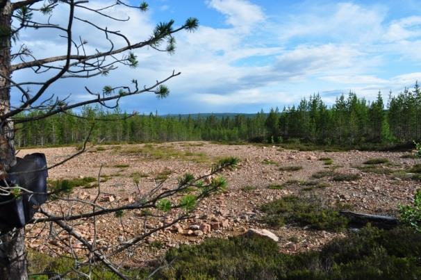 Mindre nyckelbiotoper, naturvärden och sumpskogar förekommer spritt i området.