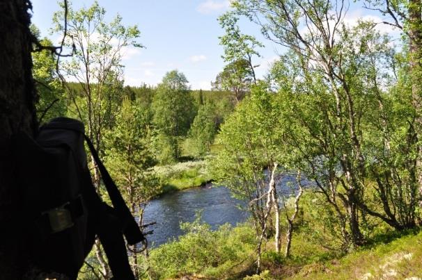 Andra faktorer att ta hänsyn till vid etablering av