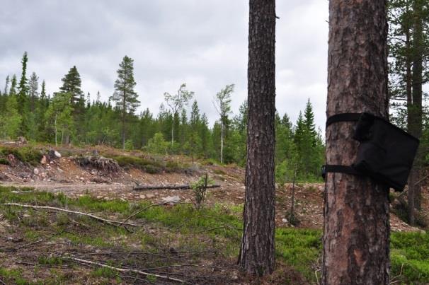 Sammanfattningsvis är det därför av intresse att planera vindparker i områden som är mindre gynnsamma ur fladdermusperspektiv och vidare undvika eller