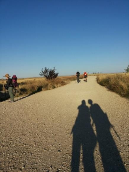 Katedralen i Burgos Dag 2 Burgos Isar Du lämnar Burgos och kommer så småningom ut på landsbygden. Här breder vida fält ut sig och landskapet domineras av odlingar.