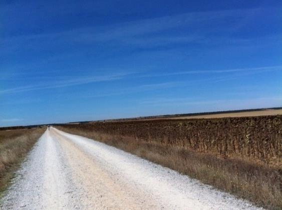 Du passerar "Prado de las lanzas", som består av en samling popplar på höger sida om leden. Vid San Roques eremithydda är det dags att göra ett vägval.