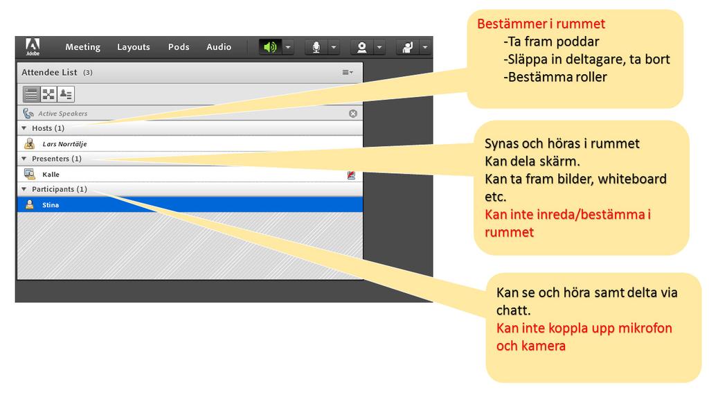 Deltagarpodden (Attendees) Det finns 3 roller (status eller behörighet) som du kan tilldela mötesdeltagarna. Du kan även ändra en deltagares roll under mötet, se nästa bild. Tips!