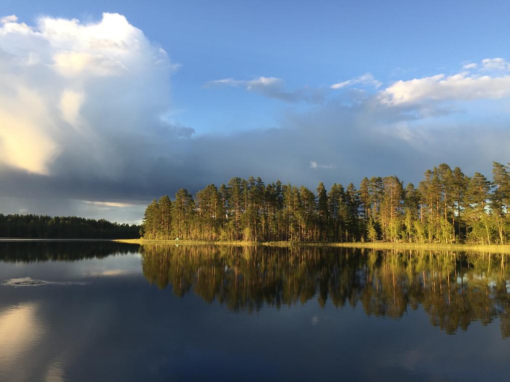 Virkesförrådet uppgår, enligt ny skogsbruksplan, till ca 4 500 m3sk vara 4 000 m3sk är ståtlig timmerskog mogen för avverkning. Medeltillväxten har beräknats till 4,3 m3sk per hektar och år.