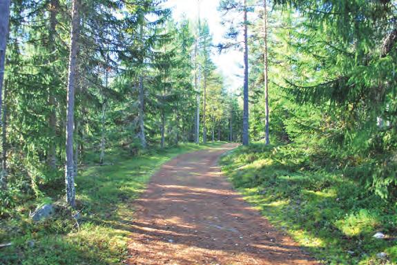 Men här försiggår verksamhet i alla skalor.