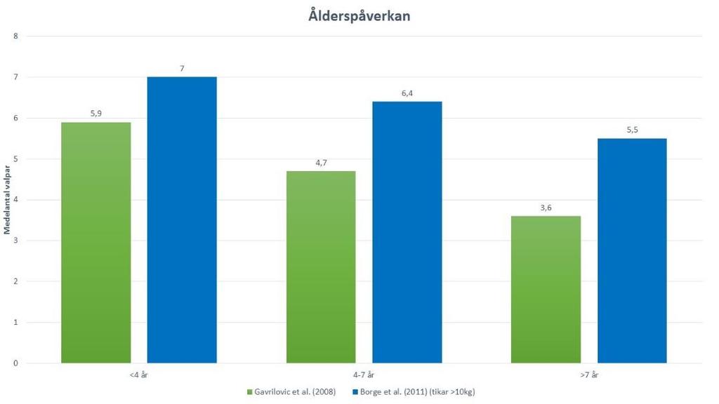 Tikens påverkan Ålderspåverkan Ett samband mellan tikens ålder och kullstorlek har kunnat påvisas av Gavrilovic et al.