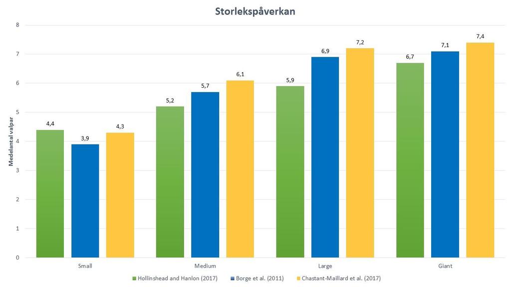 första. Mortaliteten hos valparna verkade dock vara oberoende av den täta dräktighetsfrekvensen.