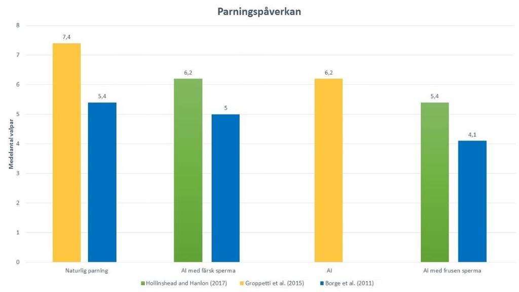 Inseminationspåverkan Kullstorleken hos tikar som parades naturligt var signifikant större än hos de som inseminerades artificiellt (se figur 4: Borge et al., 2011; Groppetti et al. 2015).