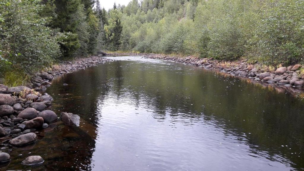 17(41) Bilden visar sträckan