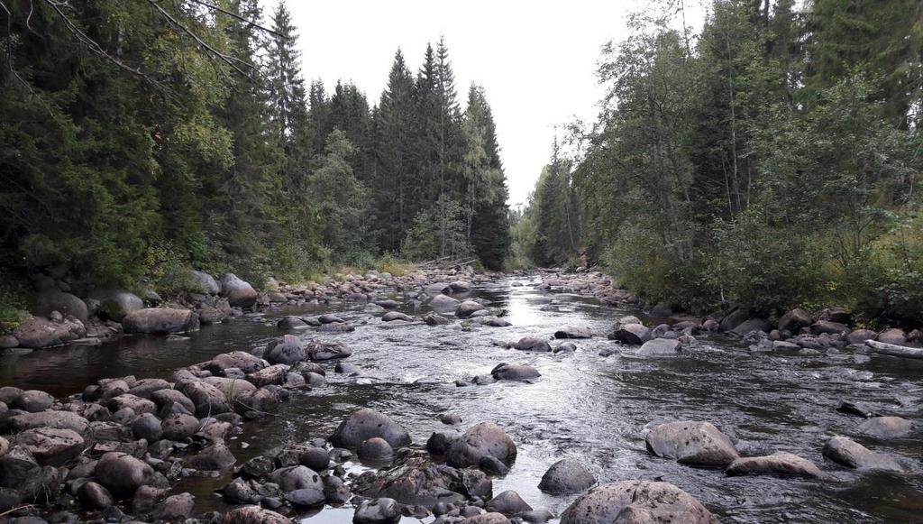 19(41) Bilden visar sträckan