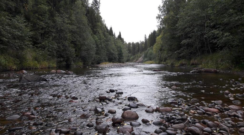 nedströms Mjällån.