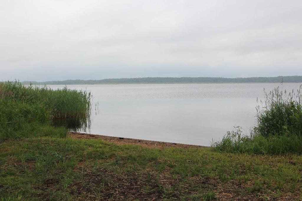 Figur 7. Det är slående hur olika Finjasjön förhållanden är i olika delar. Framförallt är bottnarna olika men även sikt i vattnet och vegetation.