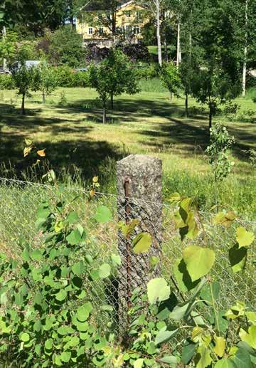 Villa Vik och Toftastrand - HISTORIEN OM STENSTOLPARNA Har du när du varit vid Toftastrand eller Villa Vik funderat över hur många stenstolpar det finns? Varifrån kommer de? Hur kom de dit?