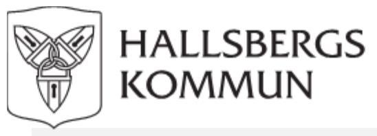 Patientsäkerhetsberättelse Elevhälsans medicinska insats (EMI) Bildningsförvaltningen Hallsbergs kommun 2019-03-01 Madelene Wistrand,