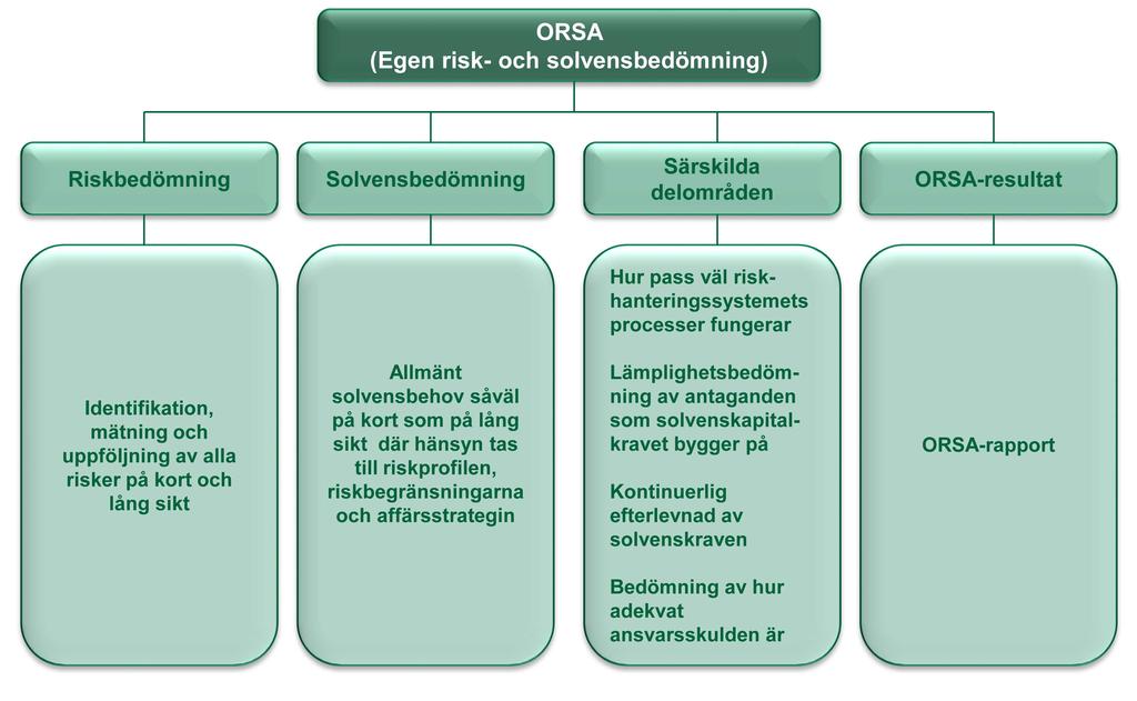 ADMINISTRATIONSSYSTEM Fenniagruppens styrelser granskar och godkänner den ORSA-rapport som ska avfattas minst en gång om året och lämnas in till tillsynsmyndigheten samt medverkar aktivt i