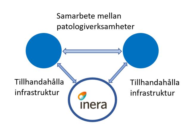 6.5 Nätverkets relation till Inera Ineras roll blir att tillhandahålla nödvändig infrastruktur till de patologiverksamheter som deltar i nätverket: Figur 6 Ineras relation till nätverket Inera kommer