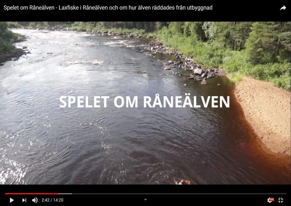 Information films Spelet om Råneälven https://vimeo.