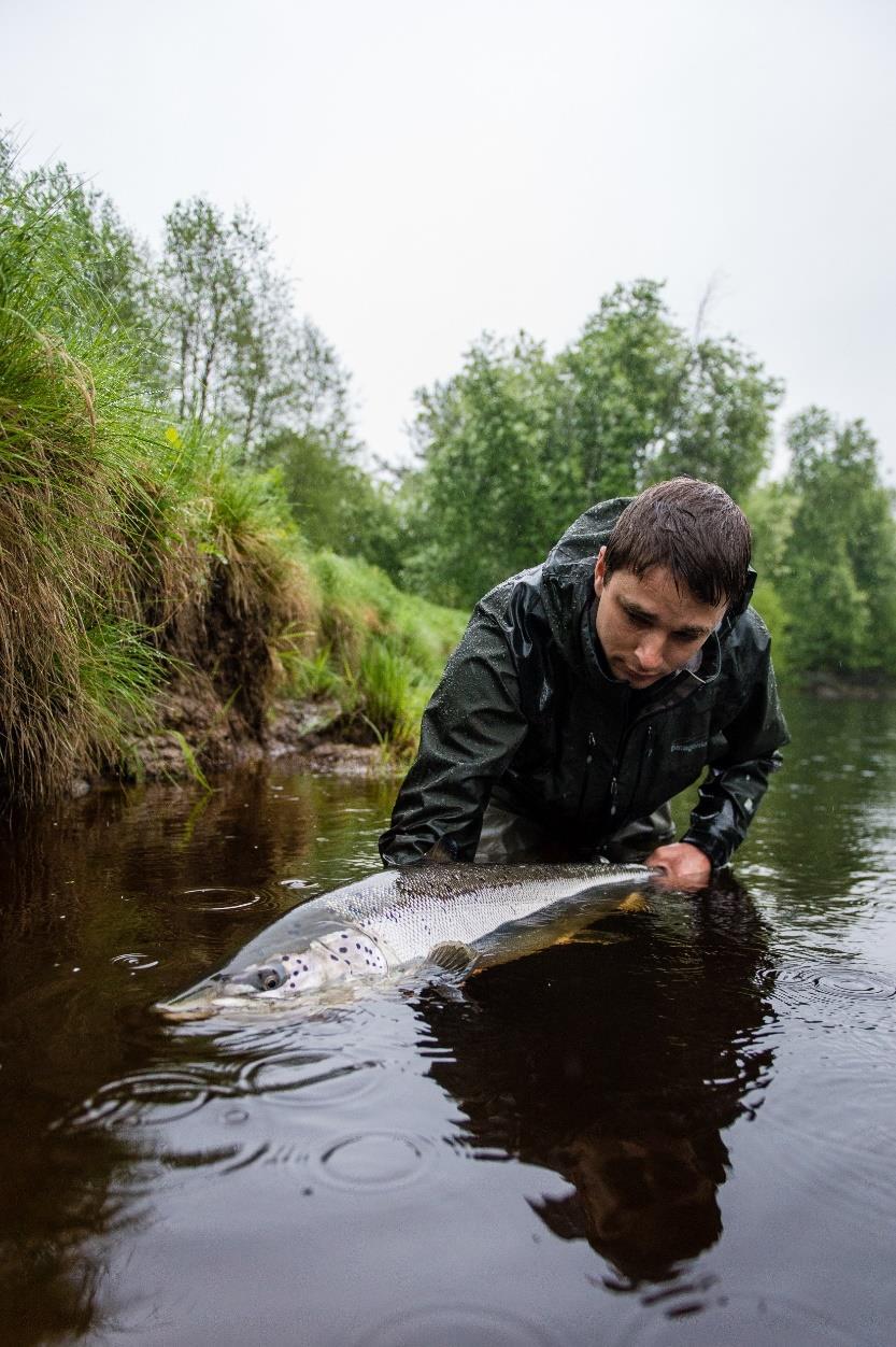 En av Sveriges största folkrörelser 1,6 milj. pers.