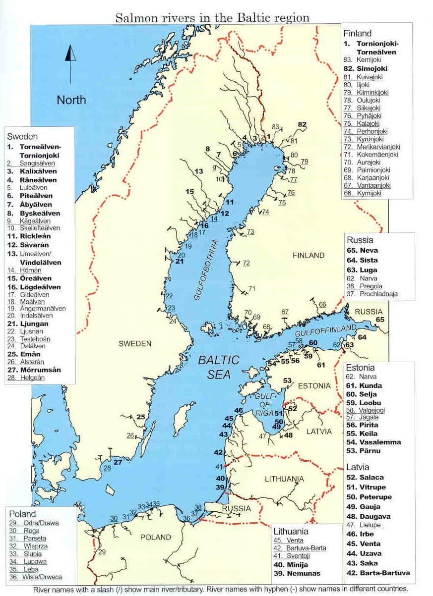 You are now at the heart of Baltic salmon % Yrkesfiskefångst Älv