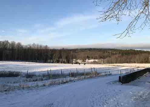 TÄVLINGSOMRÅDE lika internationell som den på Dalaberg. När barn och ungdomar i Dalaberg och Hovhult börjar sjätte klass flyttar de till skolor som ligger i andra områden närmare centrum.