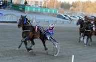 ,- -åriga., - -åriga & äldre., - montékval PREMIEER Varmblod -åriga.,-., Kallblod -åriga.,-., OBS!