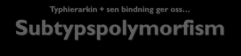 Subtypspolymorfism 22 Typhierarkin + sen bindning ger oss Subtypspolymorfism πολυμορφισμός = som har flera former Här: Ett metodnamn,