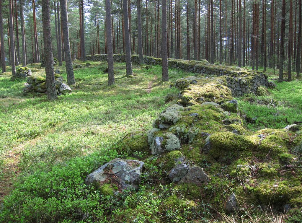 Här har Skogsstyrelsen tillsammans med representanter från andra berörda myndigheter (däribland länsstyrelser), skogsbruket och ideella organisationer tagit fram målbilder för en god miljöhänsyn.