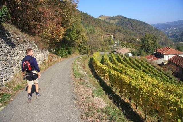 Dal Barbaresco Al Barolo, Alba - Alba, 7 nätter 3(7) dalen är storslagen. Lite längre ner kantas vägen åter av vinodlingar.