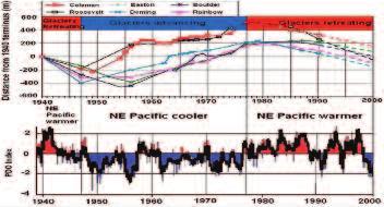 Denna puls kallas Pacific Decadal Oscillation (PDO) [decennierelaterad stillahavsoscillering] och den har ett kallt och ett varmt läge. Värmepulsperioderna varar i 20-30 år.