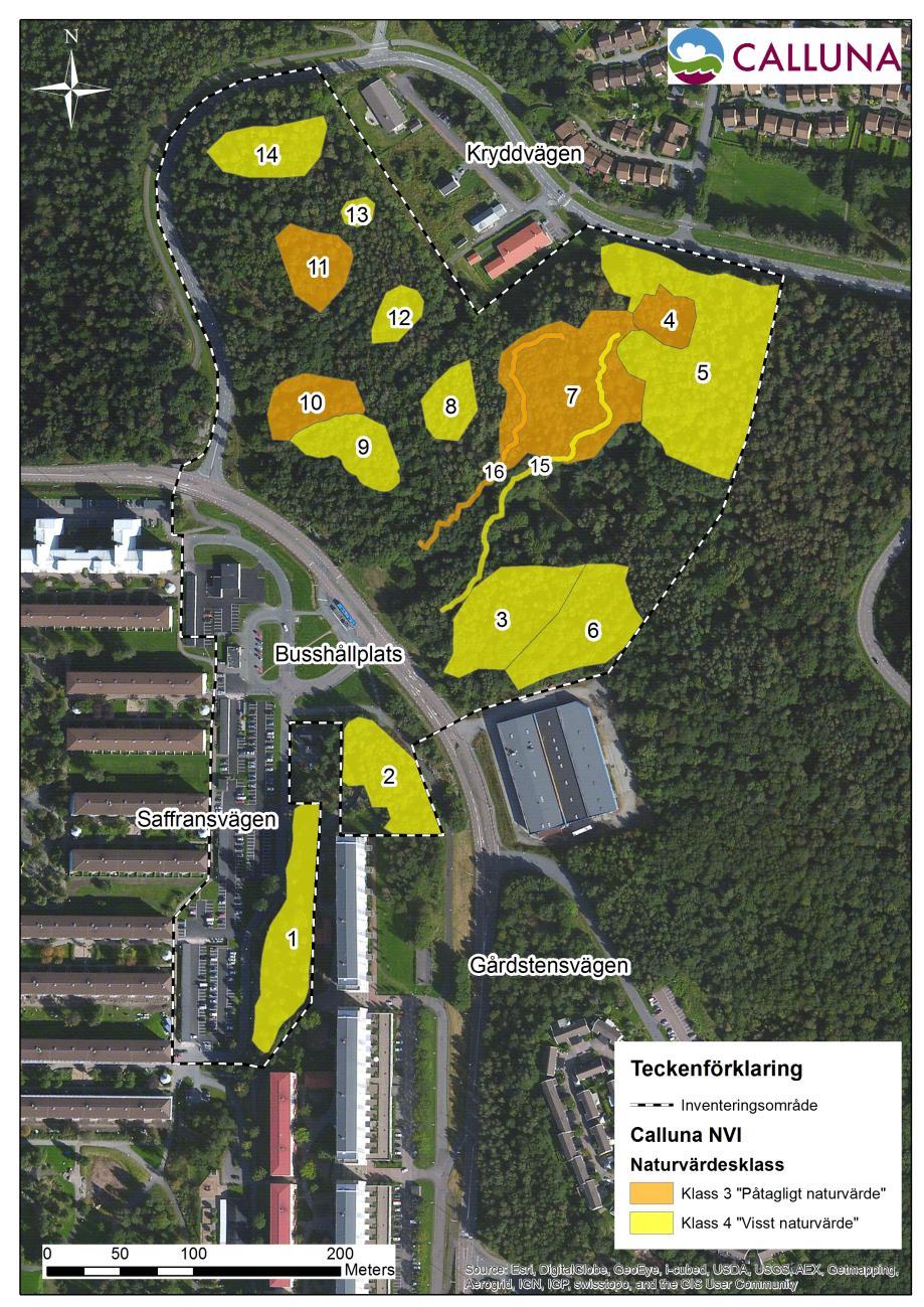 4 Resultat Samtliga resultat för inventeringens olika delar redovisas som karta i bilaga 2. 4.1 Naturvärdesinventering Sexton områden klassades med angiven metod för naturvärdesinventering (figur 3).