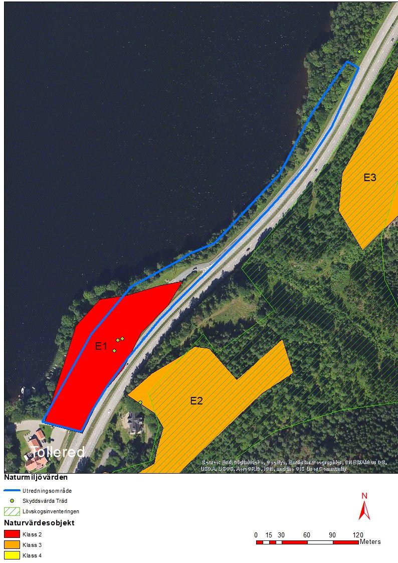 Förutsättningar Naturmiljö Västra delen Naturvärdesobjekt klass 1: grova träd Strandskyddat område mellan E20