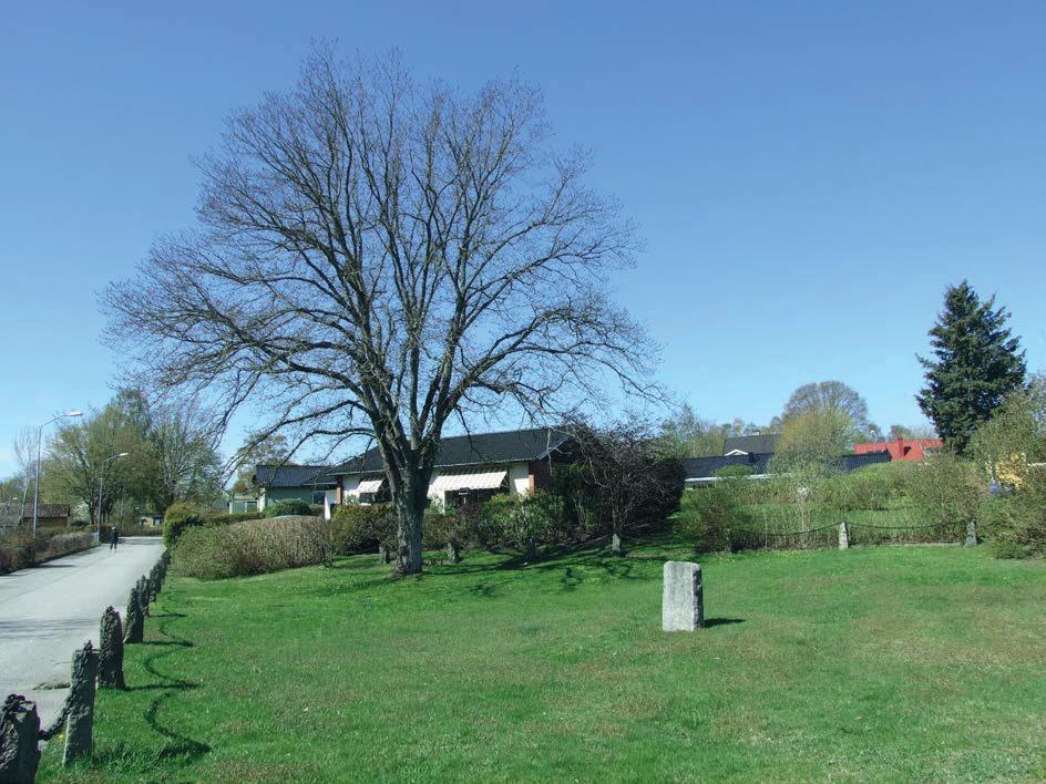 Begravningsplatser Asarums kyrkogård, Be 5 Den, med god marginal, största anlagda grönytan i Asarum. Många äldre träd, främst lind och ek.