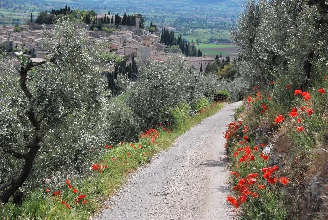 Som sagt finns det mycket att se och göra i Assisi, så har du möjlighet rekommenderar vi en extra dag innan du startar vandringen.
