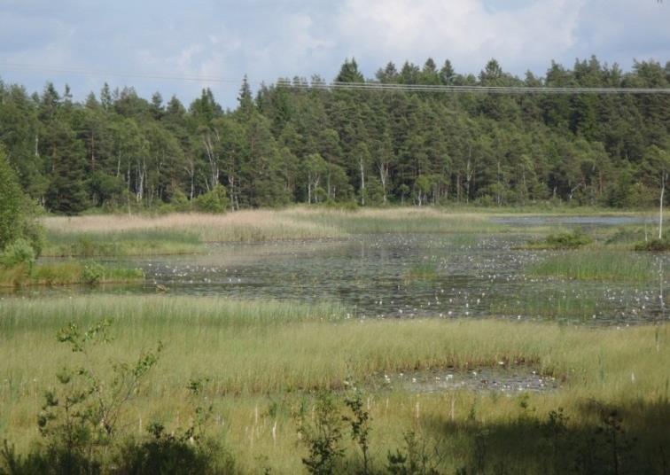 vatten, även under byggtiden Bullerspridning mot fågelhäckning Särskilt tillstånd från