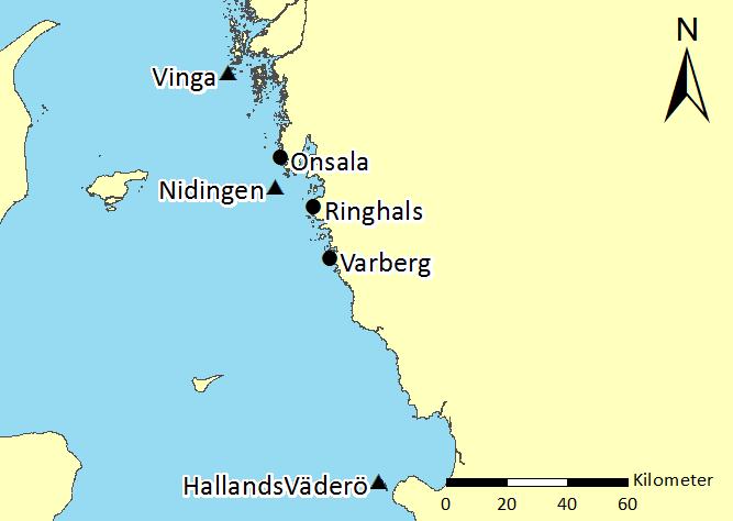 3.2 Återkomstvärden 3.2.1 Observationer vid Kungsbacka Den mätstation som ligger närmast Kungsbacka är Onsala. Mätningar av vattenstånd vid Onsala påbörjades september 2014.