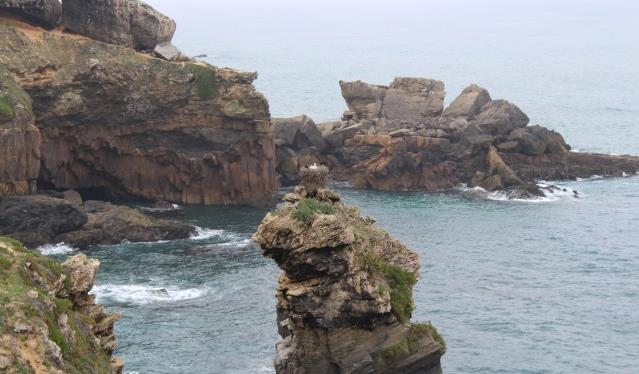 Dag 2 Porto Covo Vila Nova de Milfontes Efter frukost lämnar du Porto Covo längs den vidsträckta stranden som du följer tills du kommer fram till ett gammalt slott.