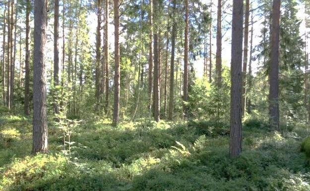 Stad Nykarleby stad Dokument Planbeskrivning Datum 9.2.