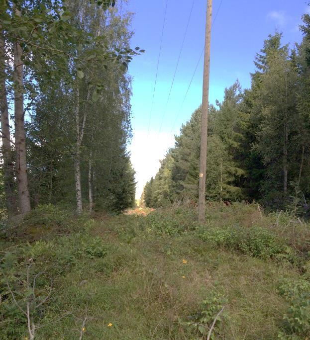 Området är av likartad karaktär som dess närområde, var ställvis högre och lägre belägna