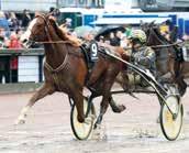 8: 0--,9a. Quality Girl e S.J.'s Photo Jan Dahlgaard 8/- /0,a c,8 0' Uppf: Kvia Tor Magne & Mar Ir Jan Dahlgaard Aa 8/-9 800,a,0 - Äg: Dahlgaard Jan & Pouls.