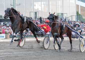 GLOBAL WOKAHOLI 0:,0 AK *, M,9 AM Total: 0 --0.00,mr.h.e Muscles Yankee - 9: 0--0,a 9.00 8: --0,0a 0.