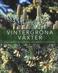 Vintergröna växter PDF ladda ner LADDA NER LÄSA Beskrivning Författare: Ulla-Märta Westerstål.