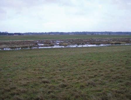 Utforma bättre Eftersträva ett naturligt utseende Vid anläggandet av våtmarker utnyttja naturliga sänkor i landskapet.