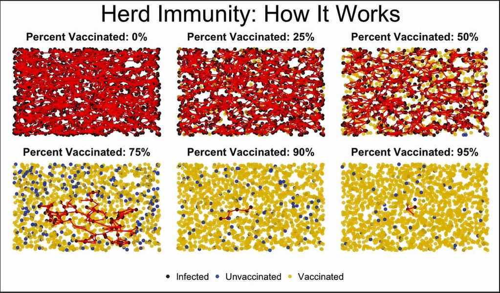 Heard immunity hur det fungerar (klicka på bild) theotheredmund (username on Reddit), 2017.