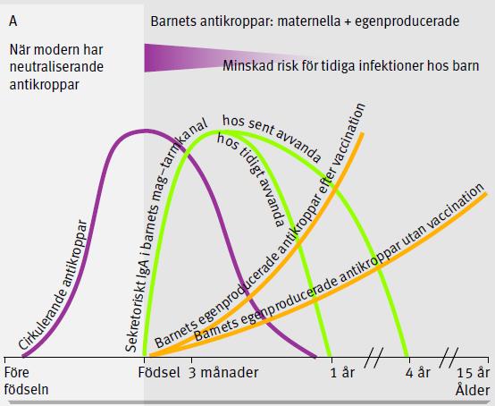 Antikroppar Amning Vaccina tion Silfverdal SA.