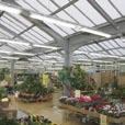 sportcentra, kryssningsfartyg,
