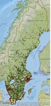 Institutionen för vatten och miljö Algblomning vid badplatser - kan dess provtagningar komplettera miljöövervakningen?