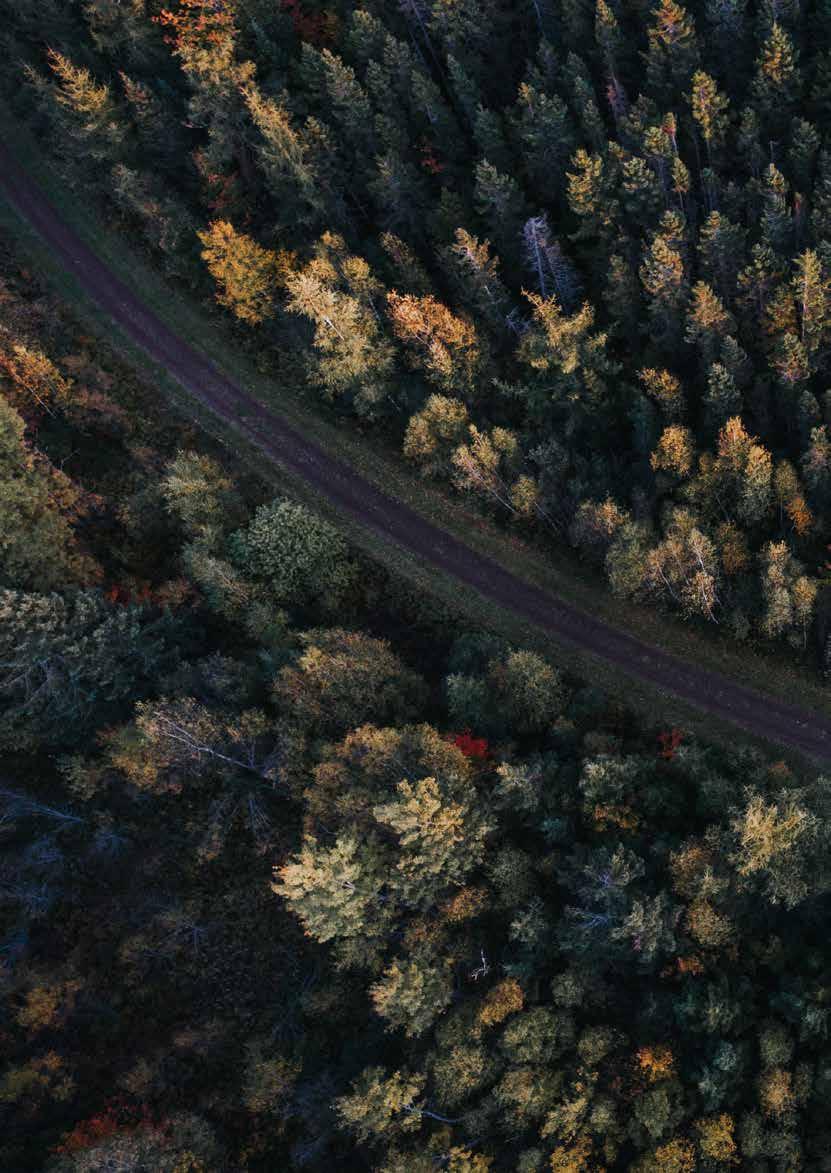 18 EXPANSIONSMÅL EXPANSIONSMÅL Eurocons mål är att öka omsättningen med 10 procent per år. Expansionen skall göras med bibehållen lönsamhet och skall ske genom organisk tillväxt och förvärv.