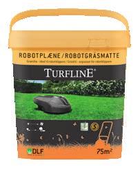 SORTER AV RÖDSVINGEL OCH