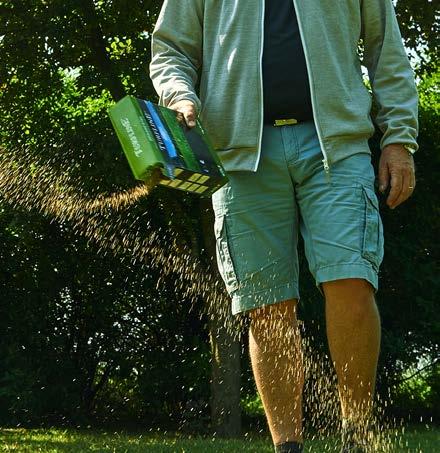 gräsmattan.