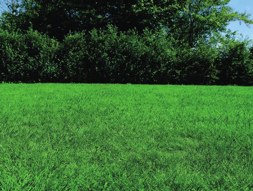 4 Turfline Ekologiskt gräsmattegödsel Turfline Ekologiskt gräsmattegödsel långtidsverkande NK 4-5 Önskar man en Ekologiskt trädgård i balans med naturen är det nu möjligt att gödsla även gräsmattan
