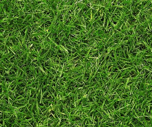 Turfline MossOff 7 Turfline MossOff är biologisk moss bekämpning Turfline MossOff består av plantoljor och